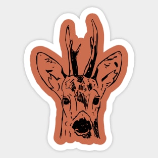 roe deer Sticker